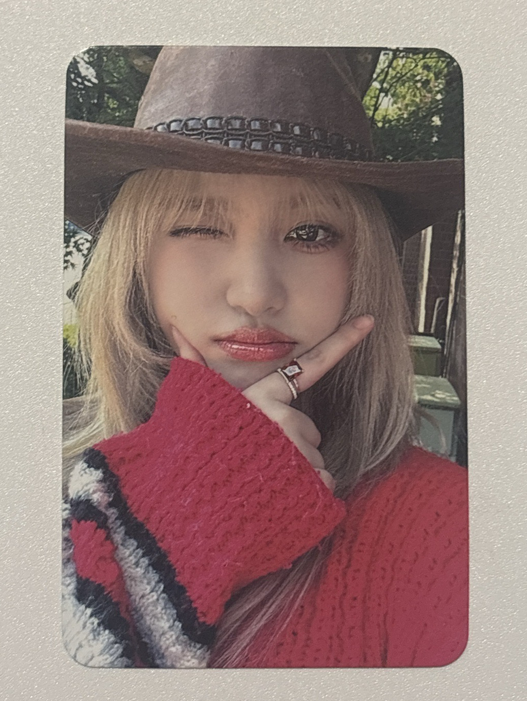 playk 台簽 牛仔栗