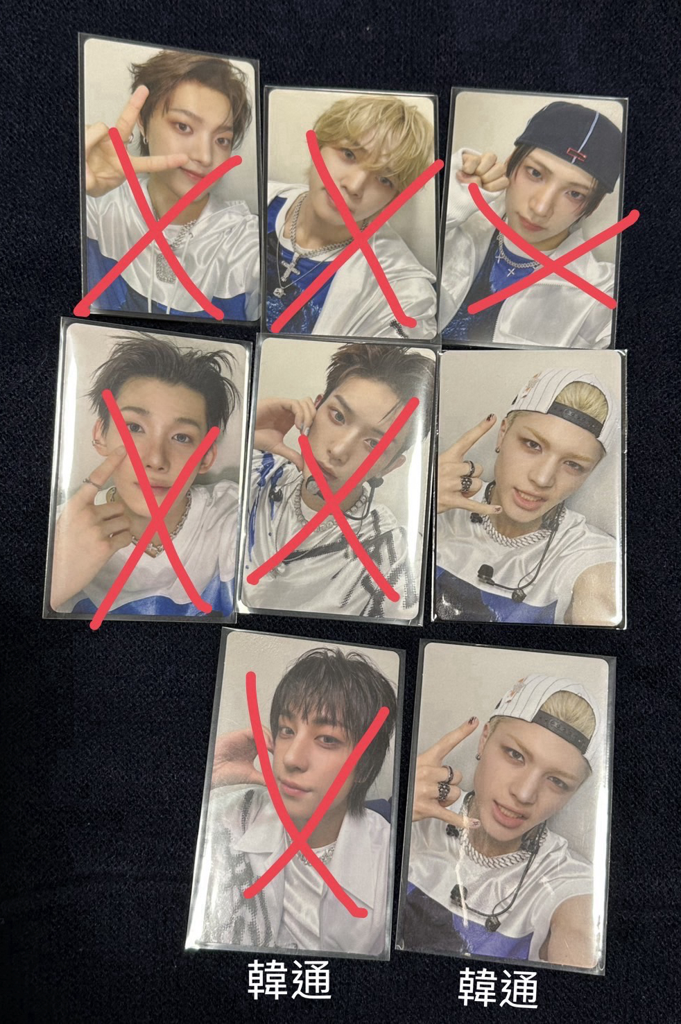 BTL FAN SHOWCASE特典卡🐶