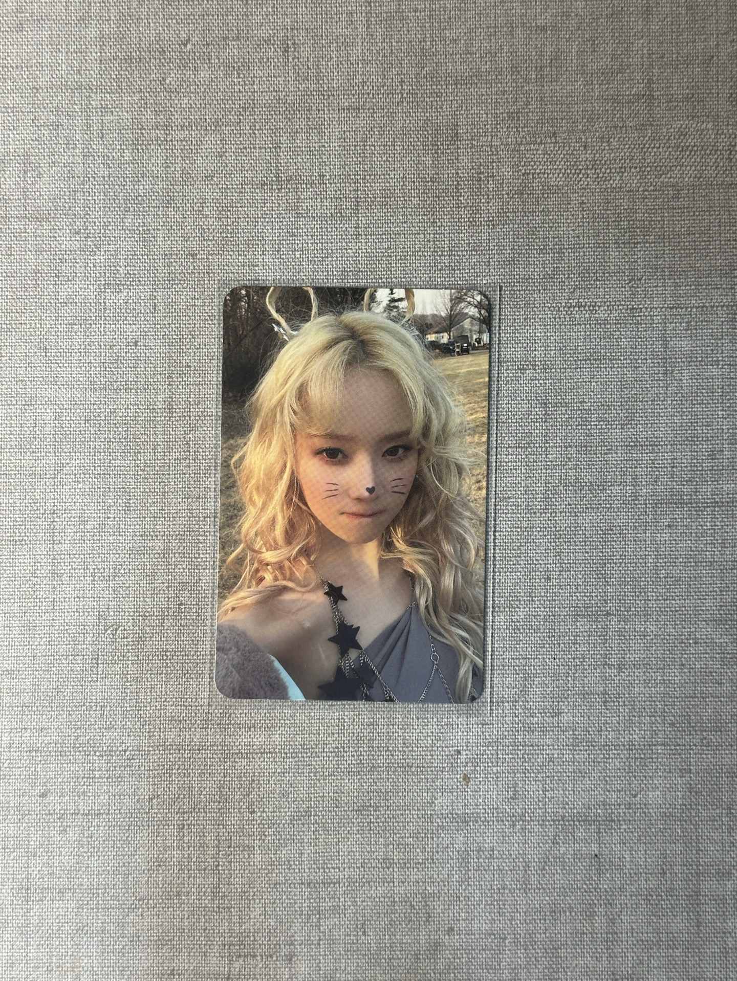 aespa | 貓咪冬🐱