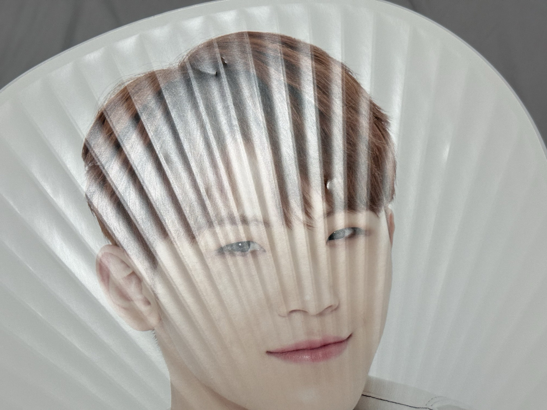 勳大扇 古早扇 holiday扇