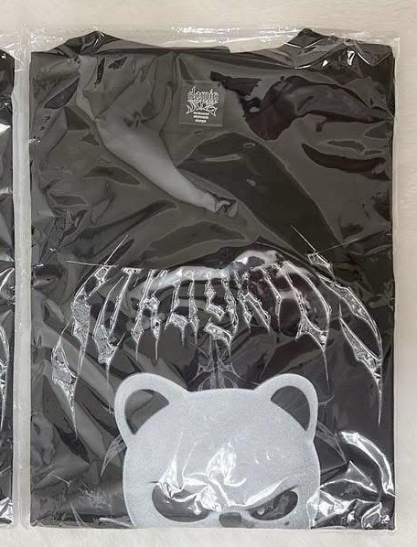 Stray Kids 邪惡T 辰