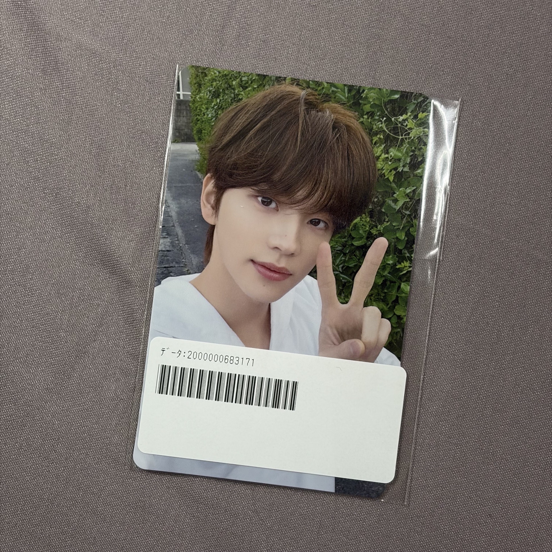 申惟日專環球特典