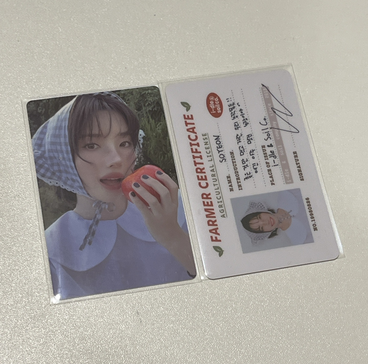 2026 固配台曆娟