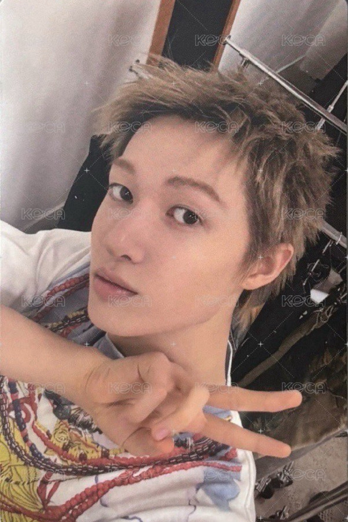 非現小卡區，豬豬跟馬丁