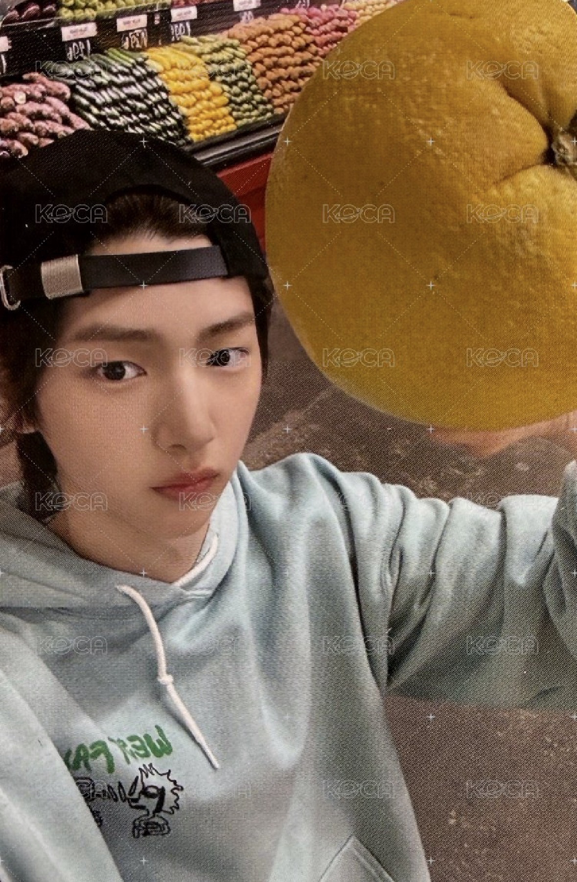 現貨小卡區，可愛的豬豬