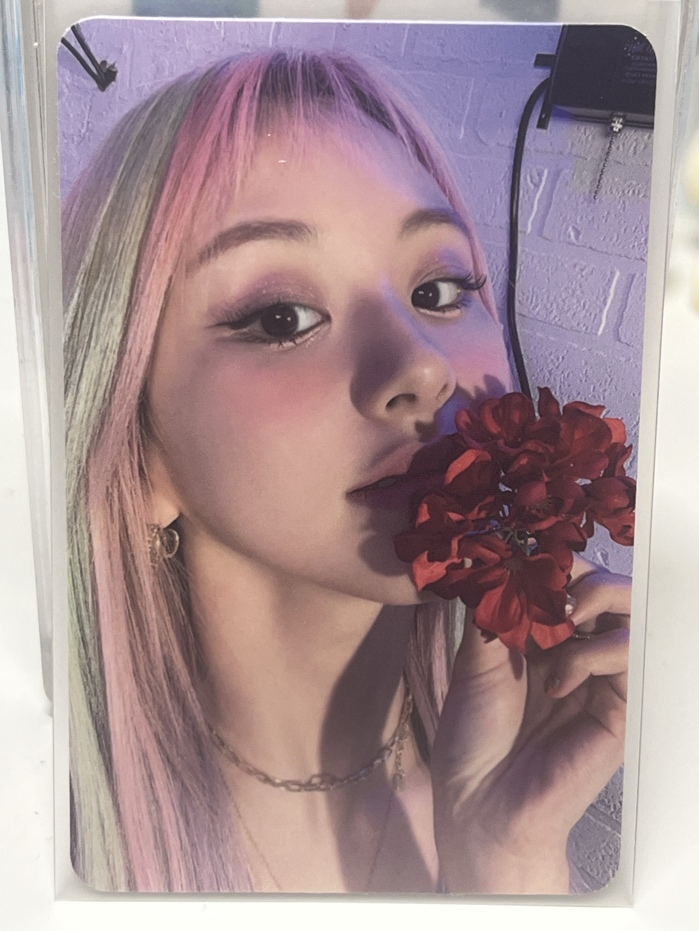 彩瑛 <taste of love> 專卡