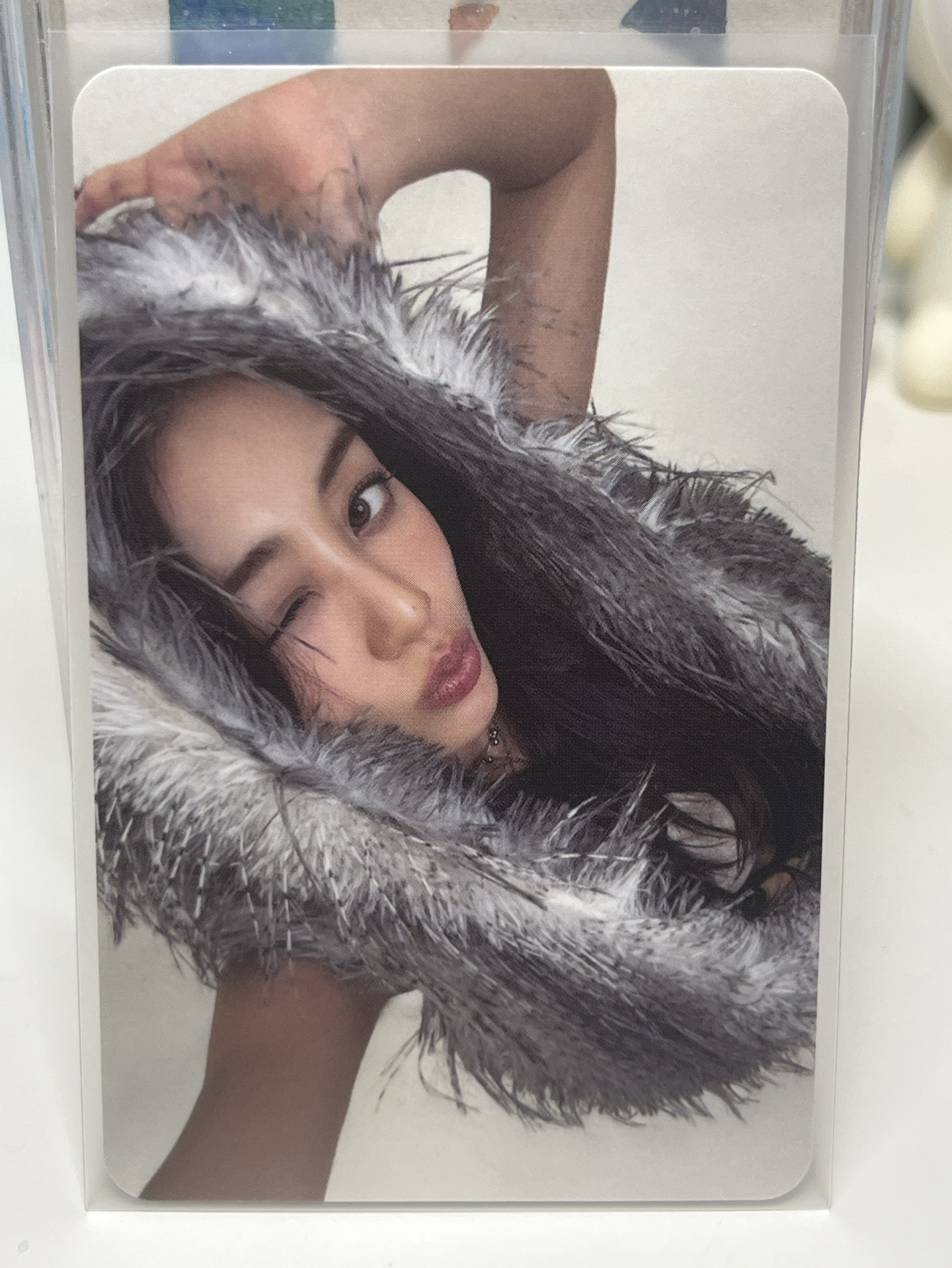 志效 十週年專卡