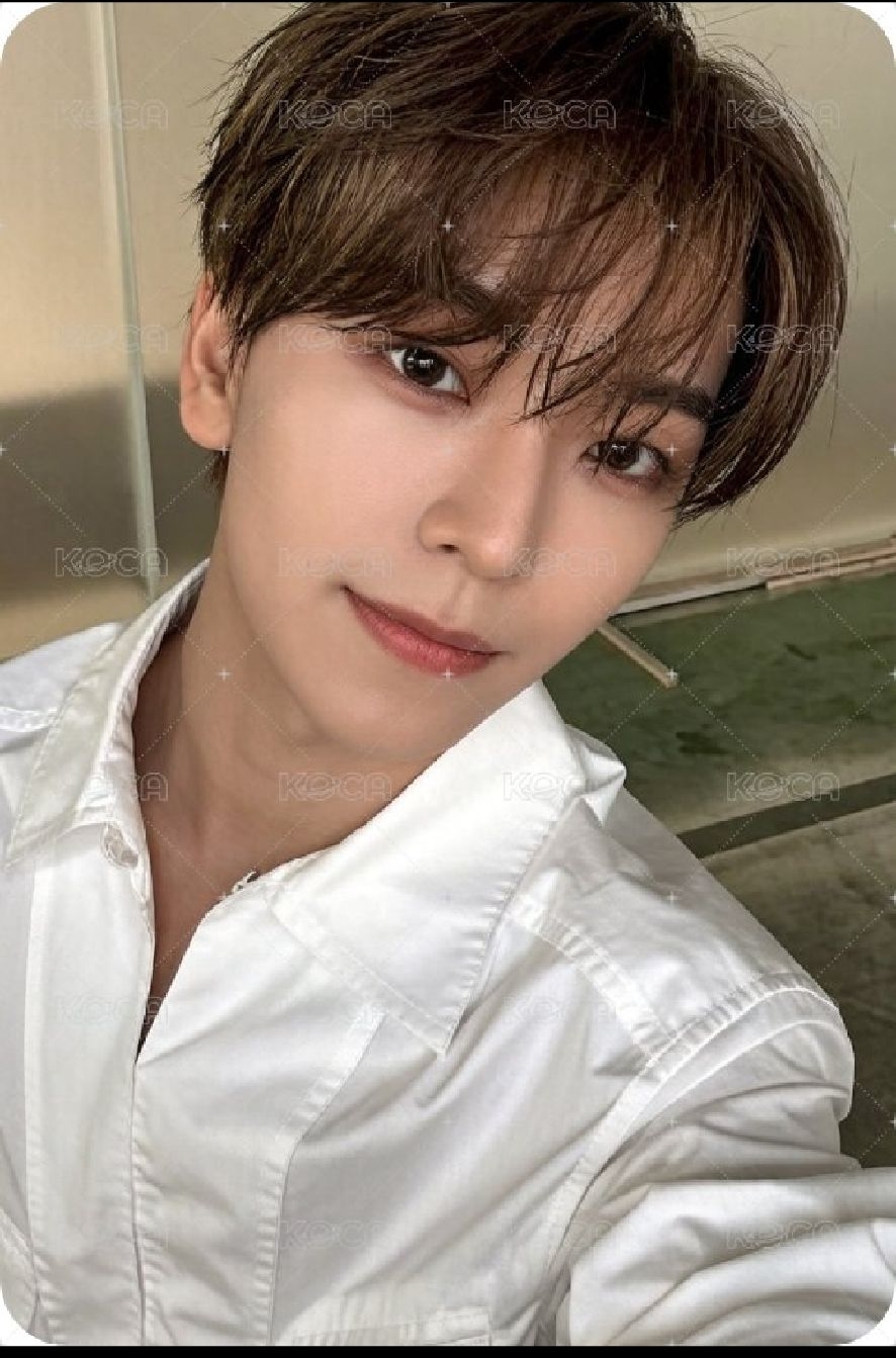 sw 自由pose 鑫隆