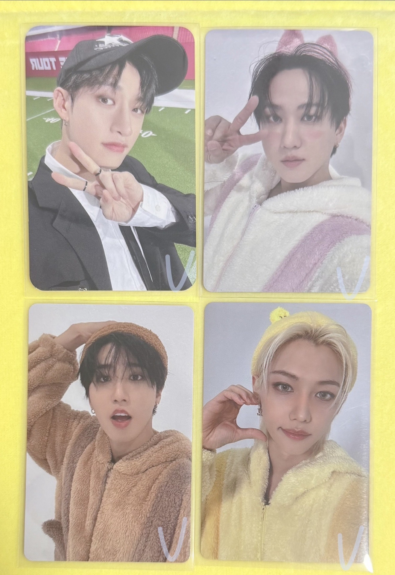 Hollow 塔店 特典卡 靜岡線上限定 彬城菲/1st 日本巨蛋巡迴 燦線上 滿額卡 首爾特別場