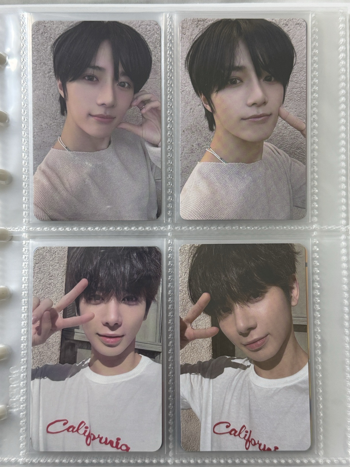 LL專卡+日咖特典 圭顯