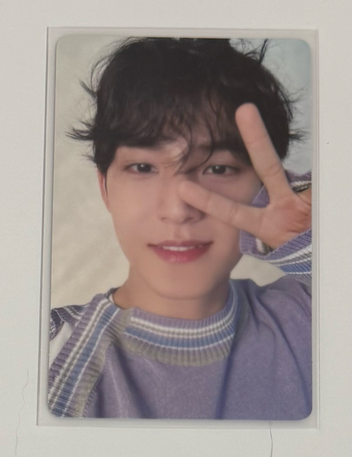 日專紫衣奎 無損