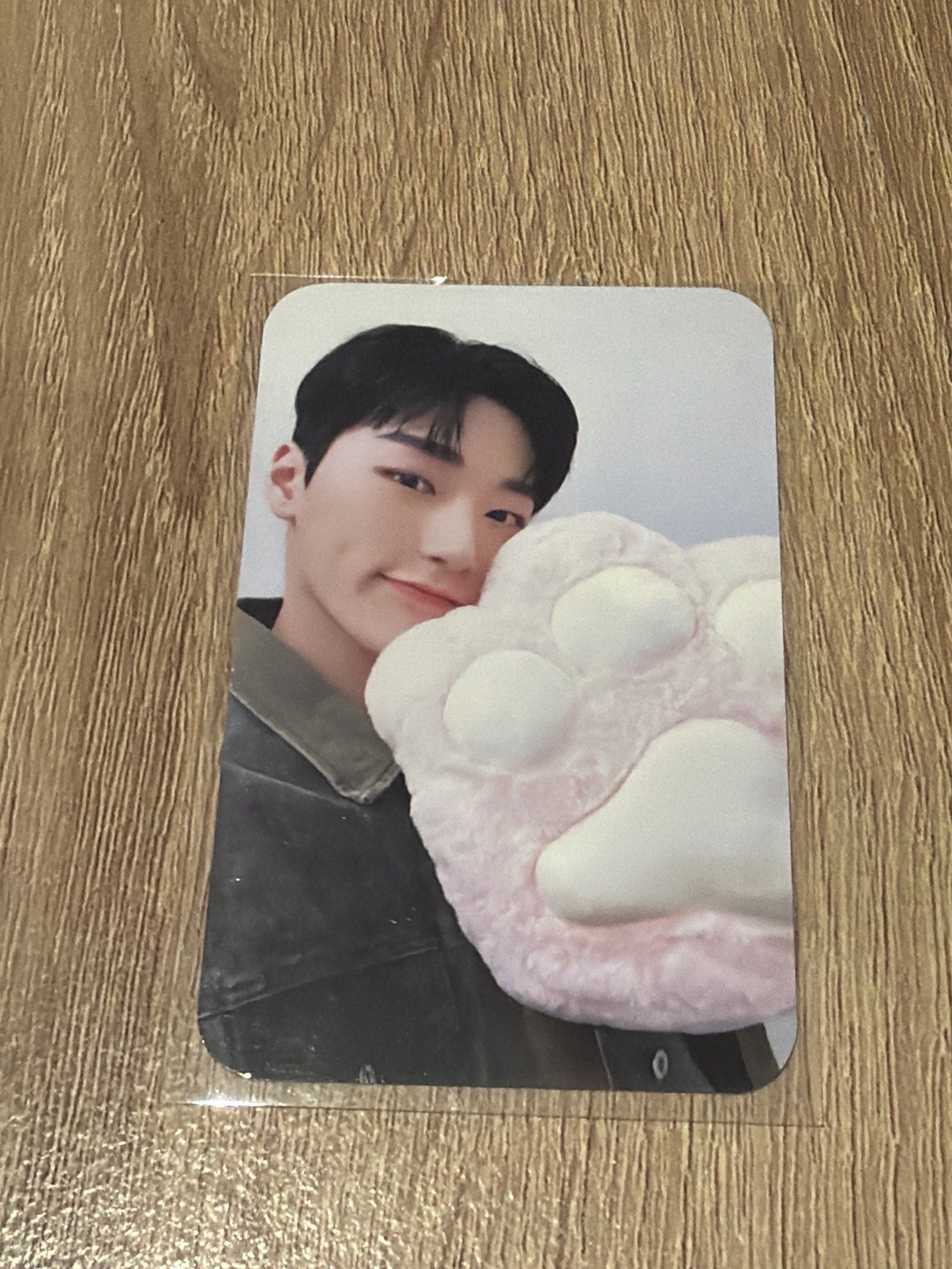 GH1 TOKTOQ 特典卡 