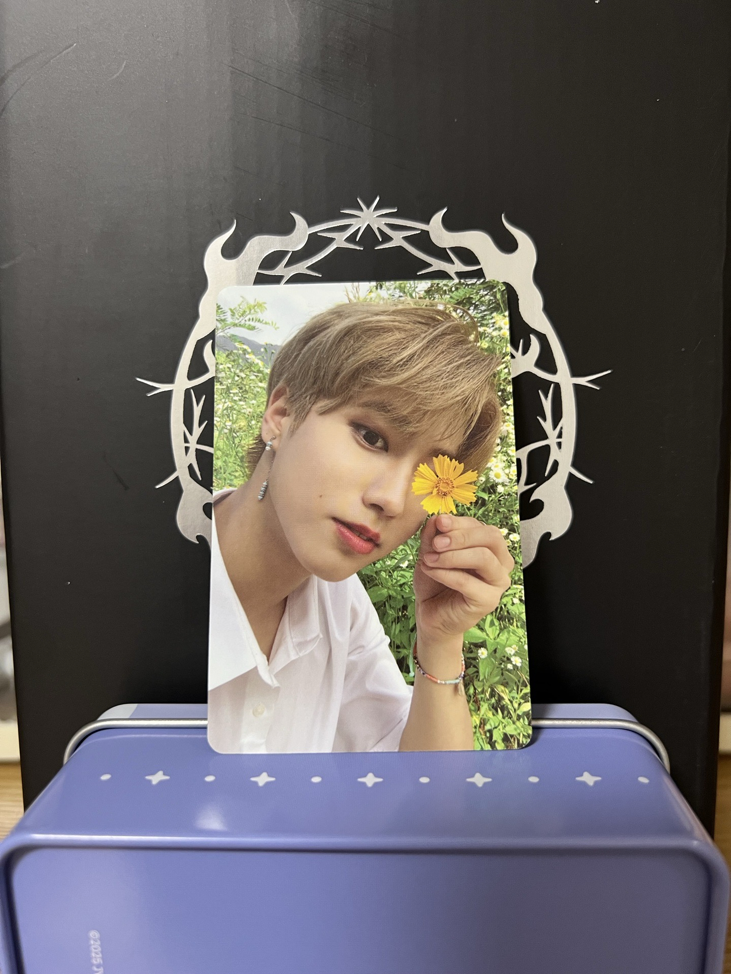 Noeasy限量專-小鼠花花🌼