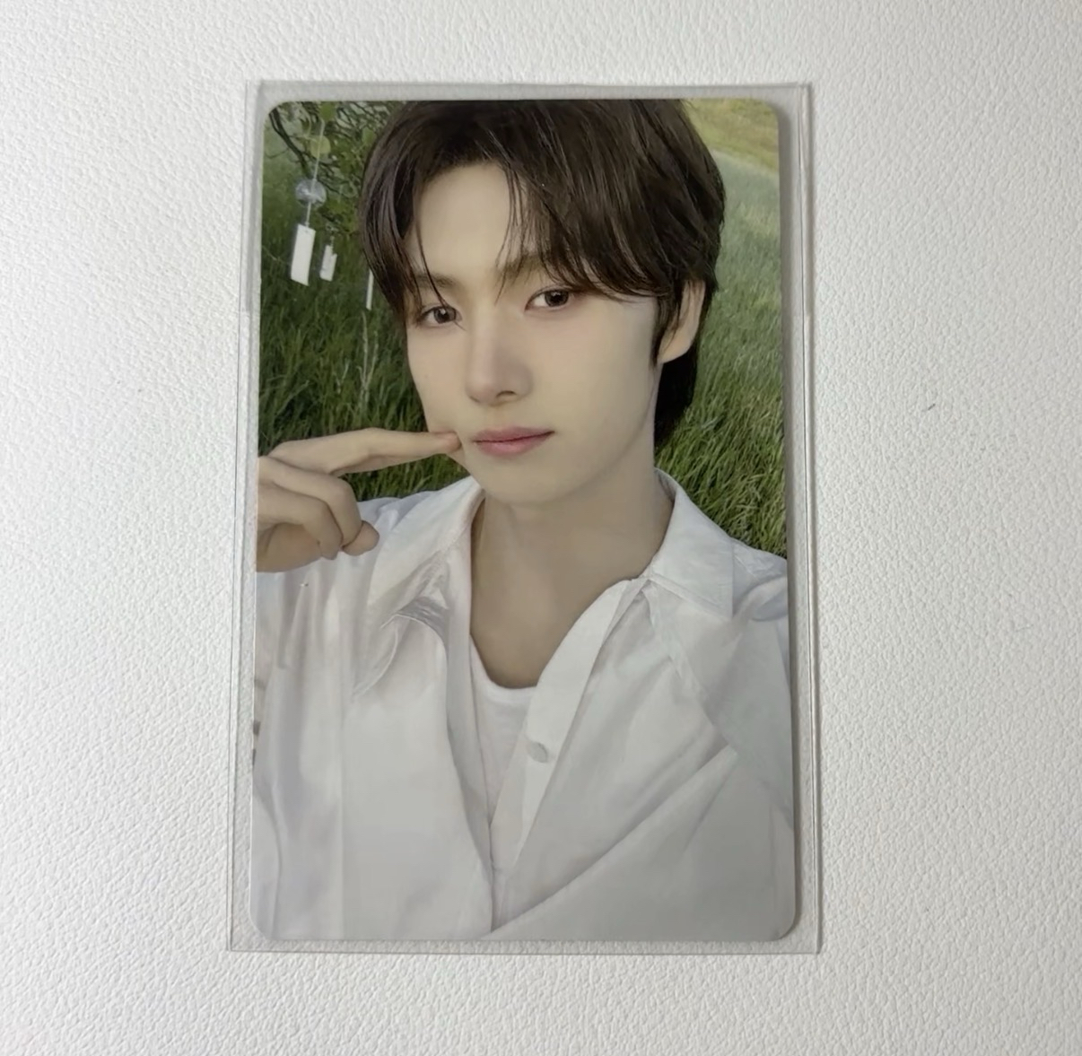 可愛麻糬脆脆🐹