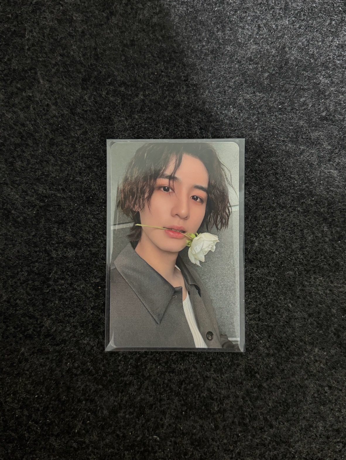 The Action wvs特典5