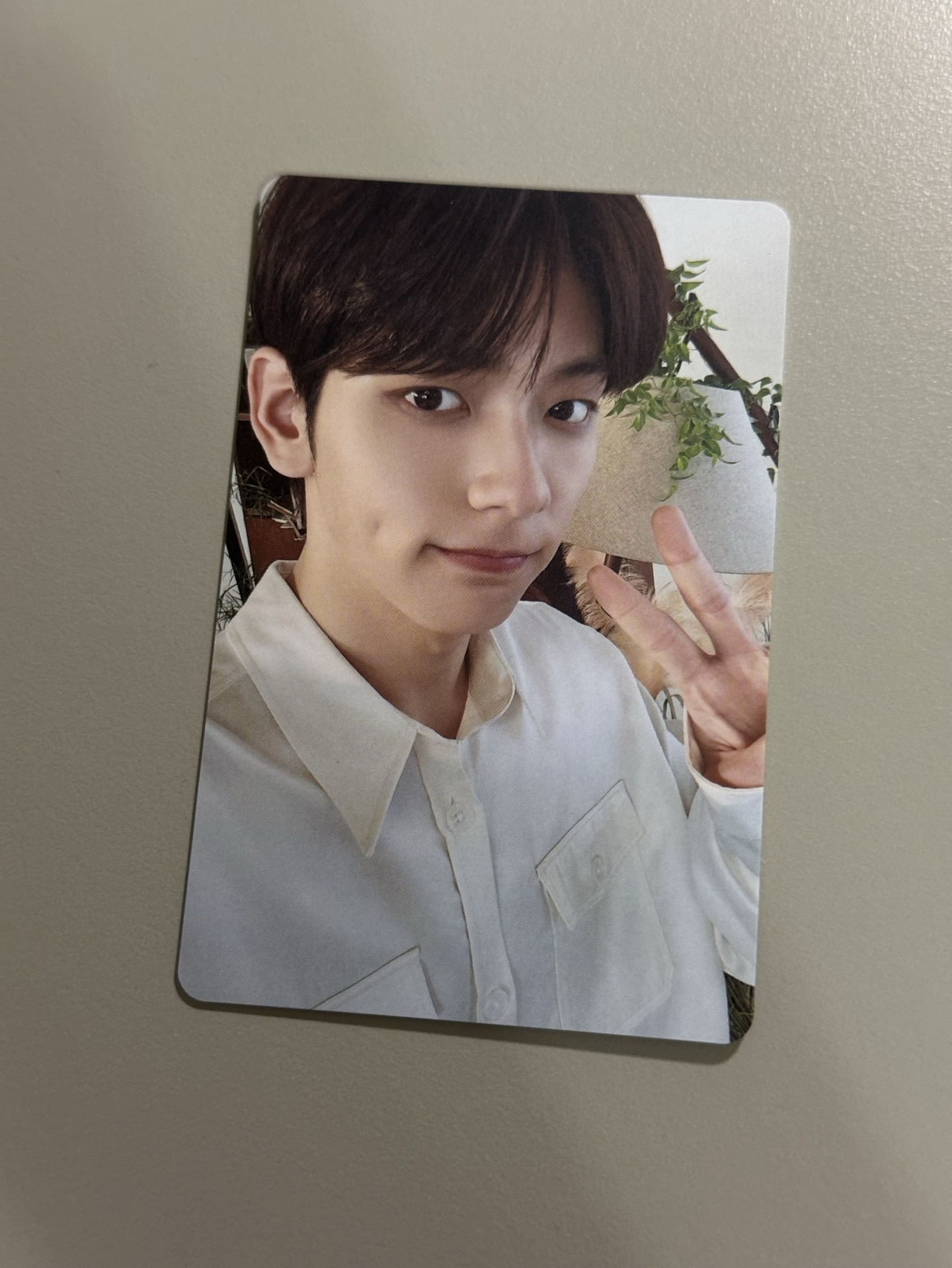 日巡隨機卡 彬自拍