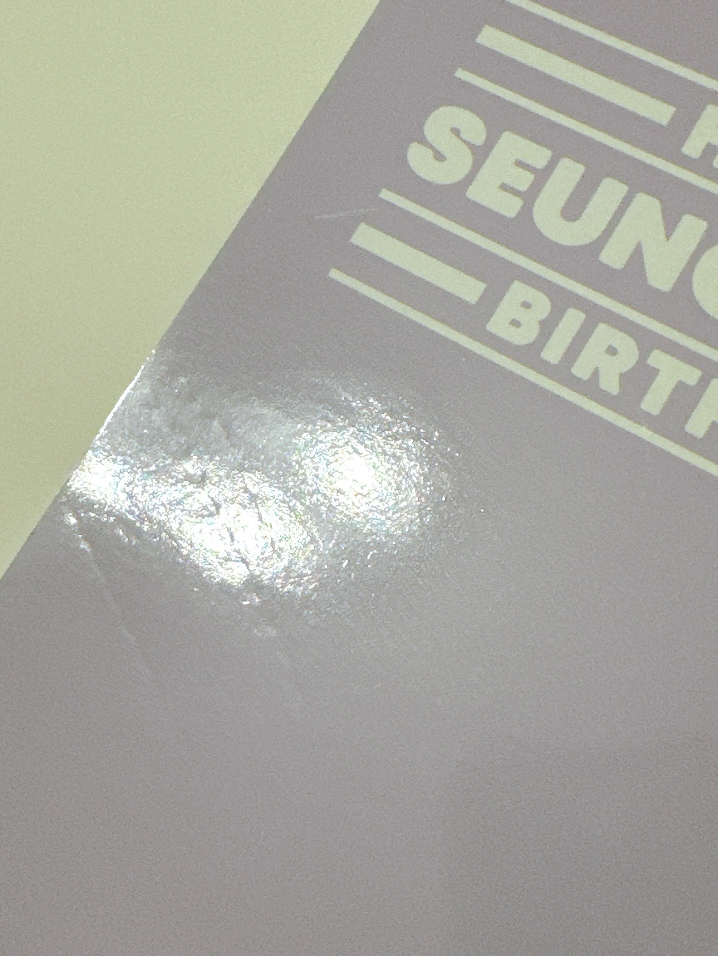 Seventeen 生日禮盒 夫勝寛