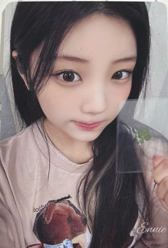 Wonhee 幸運草 特典卡