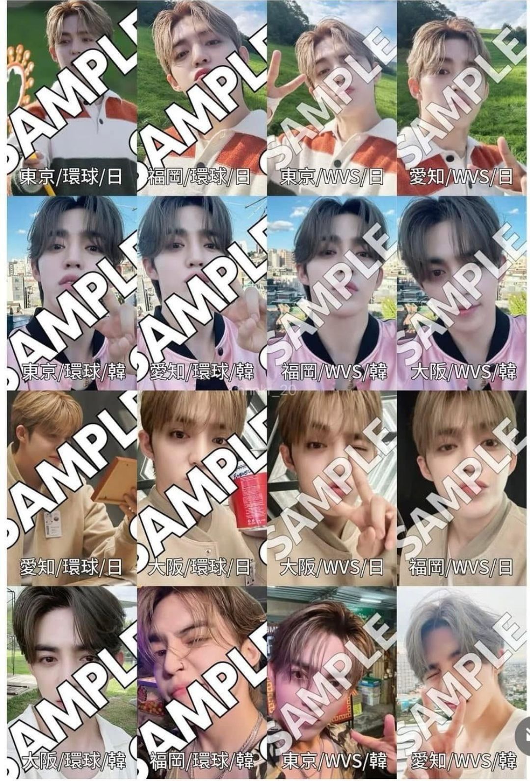 日巡場限一鍵畢業-哲 （看敘述）