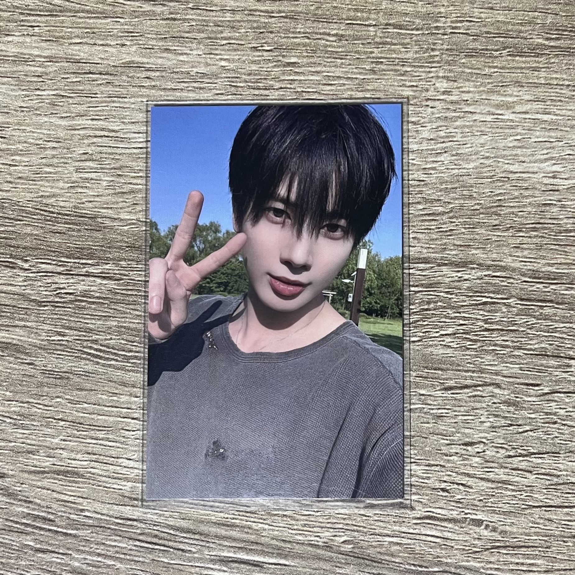 太顯台北場粽卡