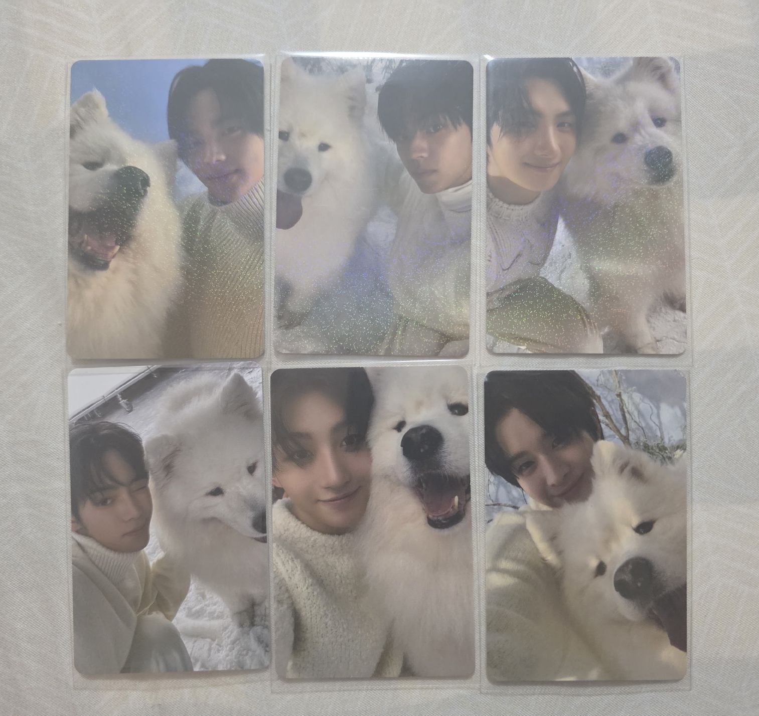 日咖狗狗卡（套出）