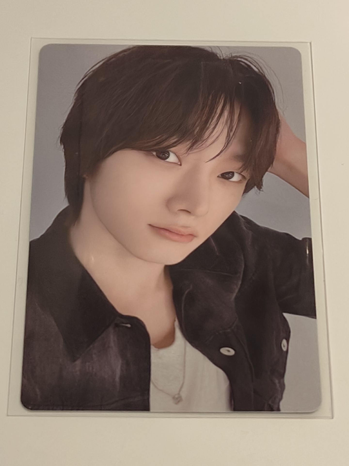 🟣🐈wvs線下簽售