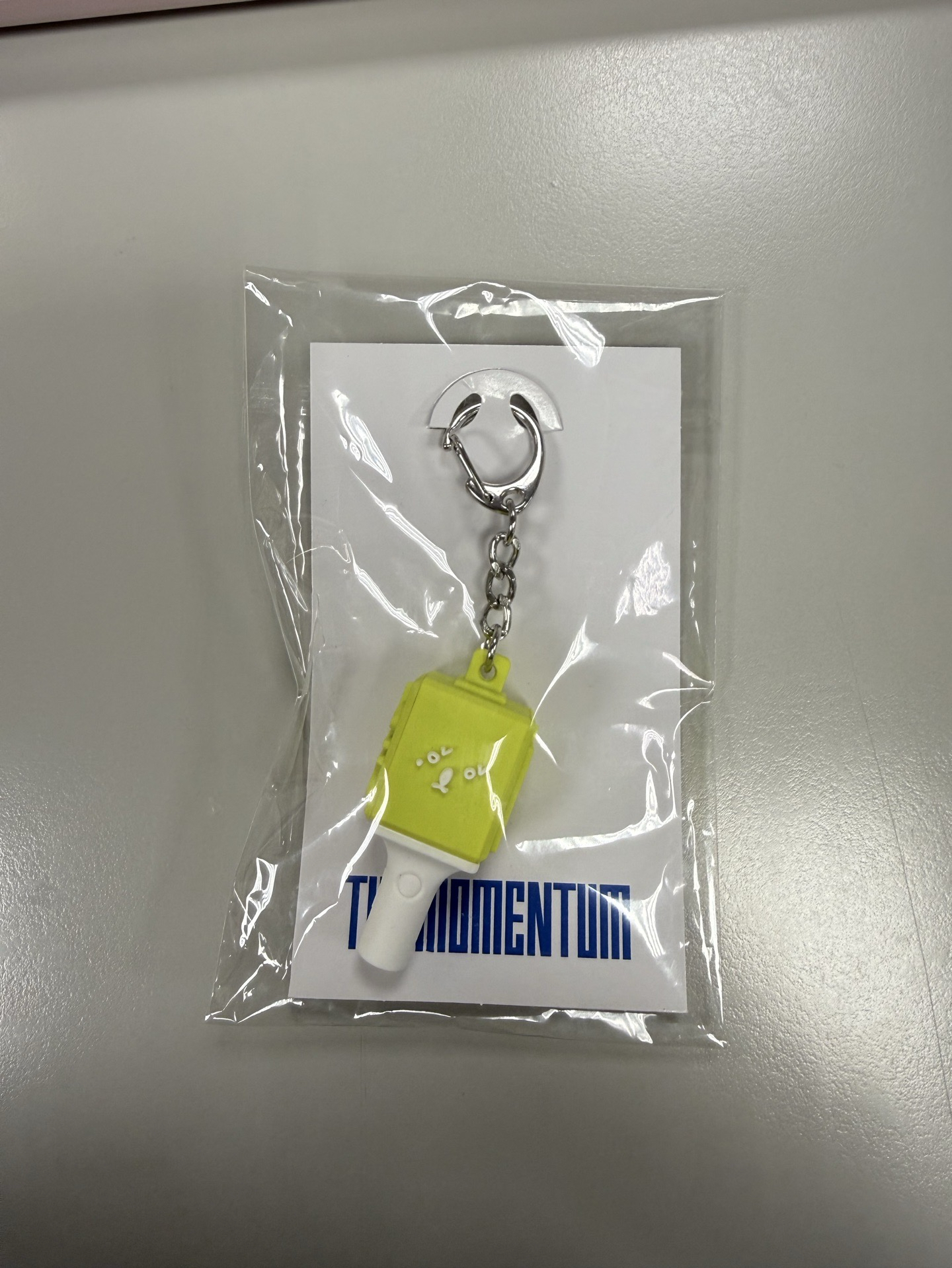 四巡THE MOMENTUM 鑰匙圈吊飾 日本場限定 手燈造型吊飾 金廷祐版