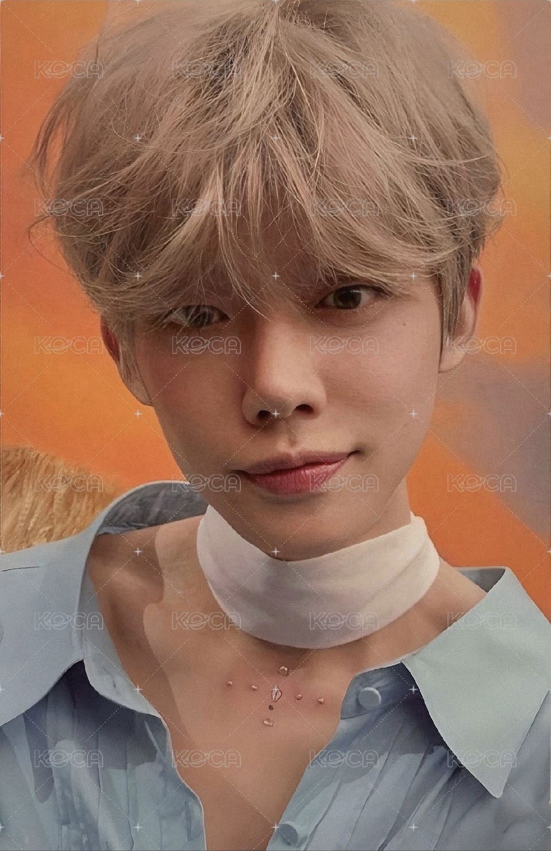 迷六 專輯卡 單封 Light版