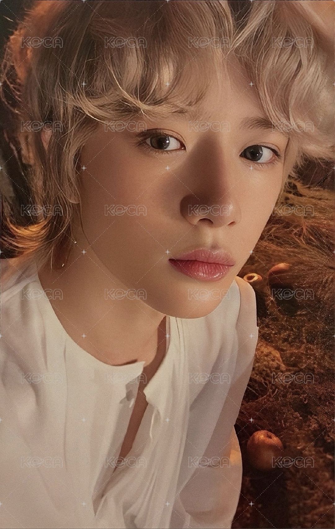 迷六 專卡 單封 Light版