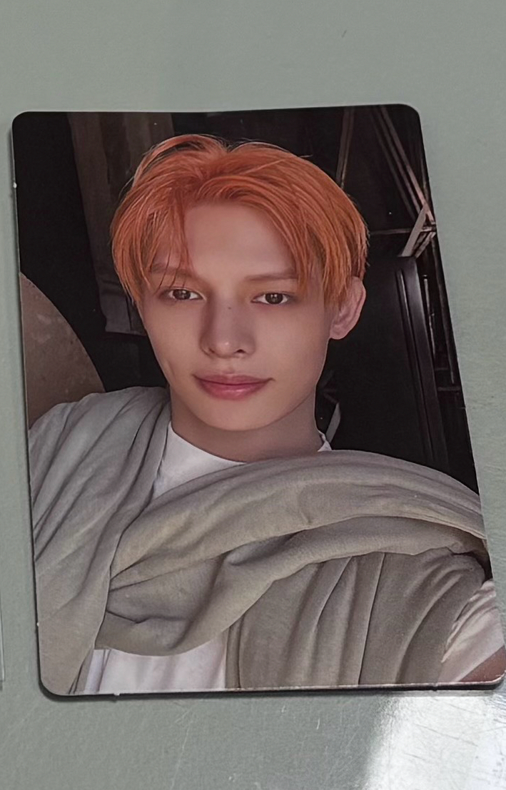 WVS年末馬丁、S2鎬全專、S3凡