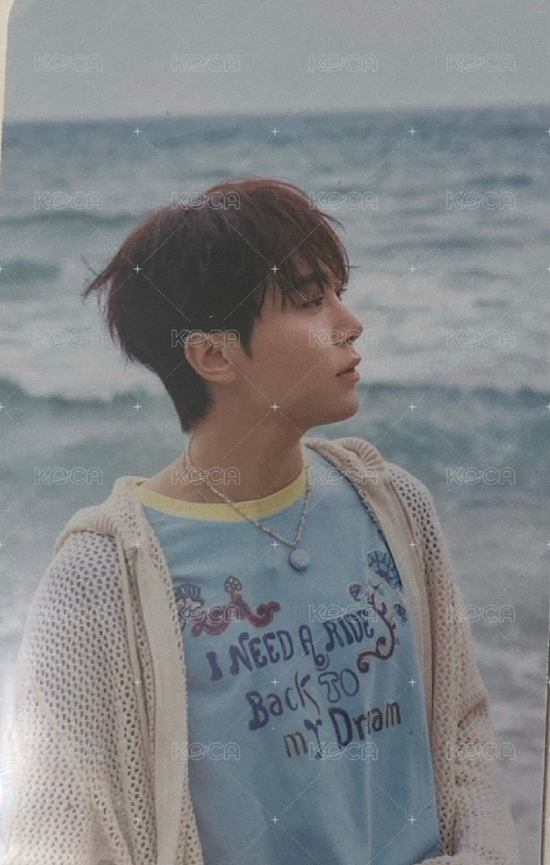 MINI12 專輯卡 wvs電子專