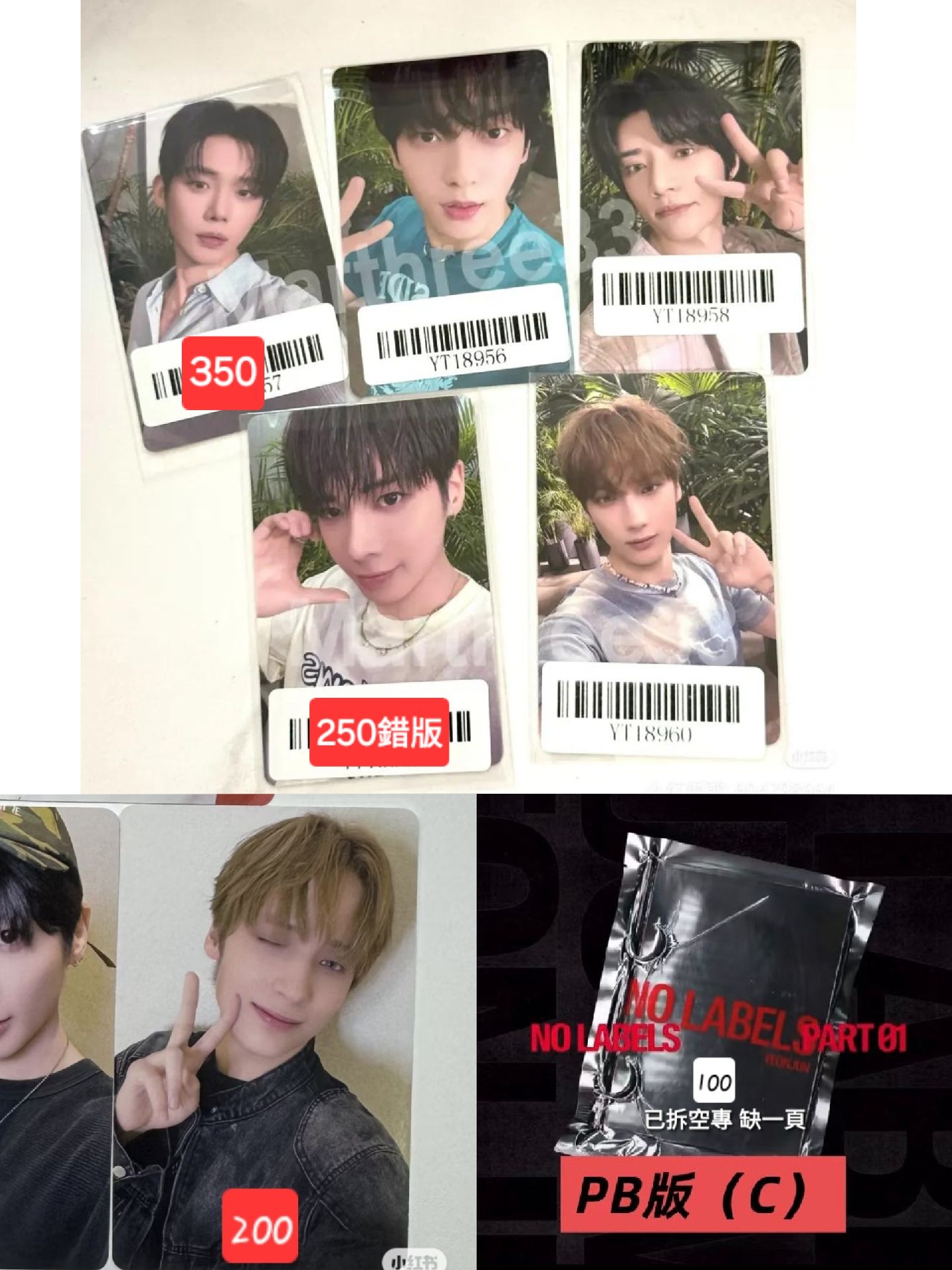 TXT小卡 全員都有