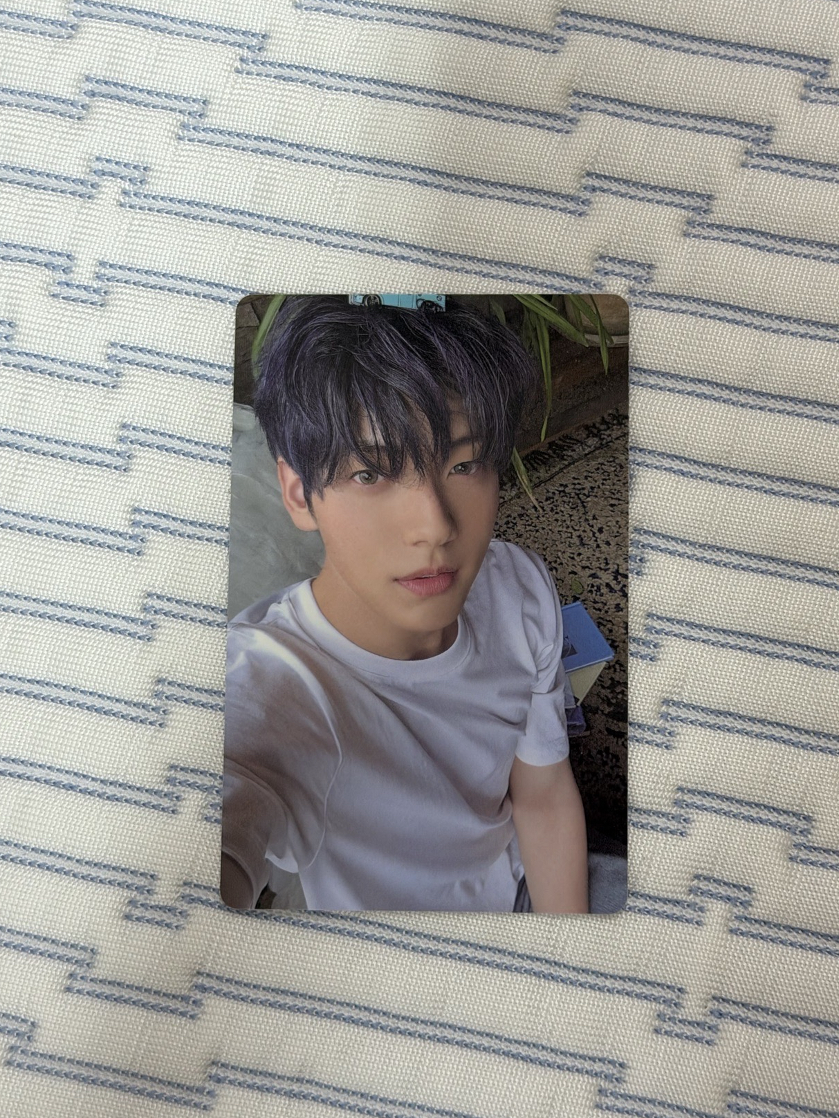 秀彬迷七 專輯卡 Merch版