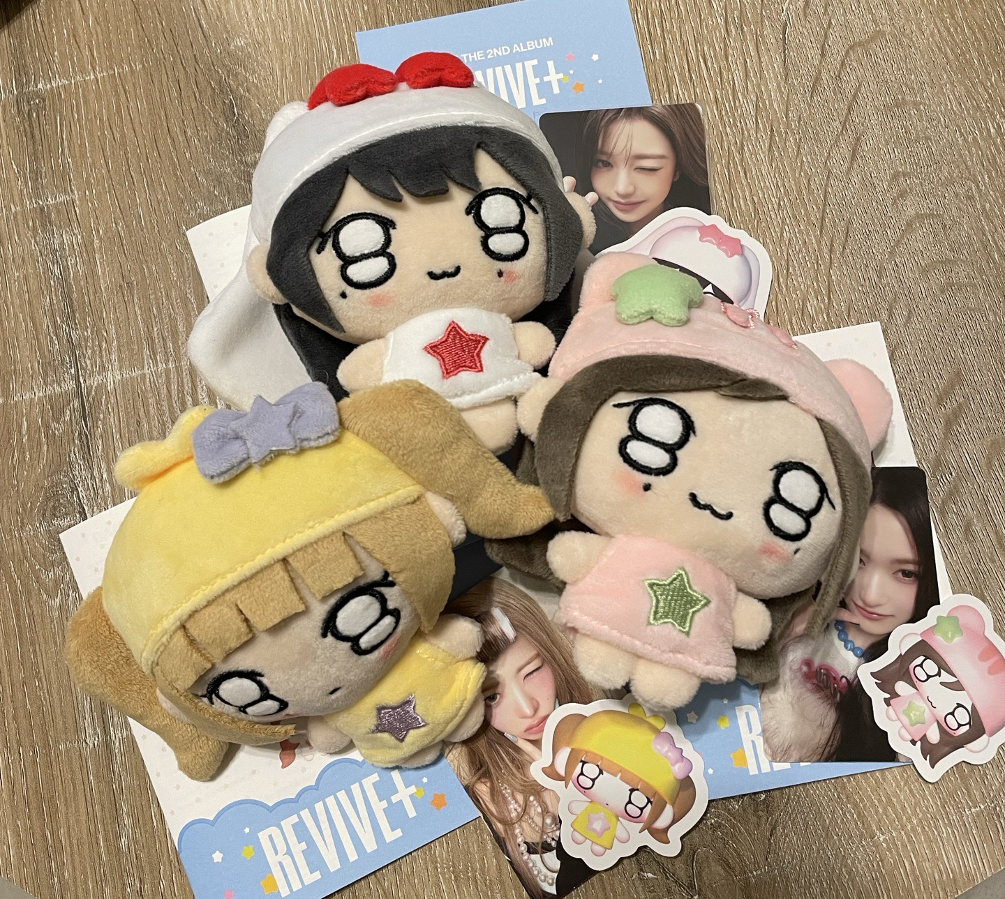 IVE 娃專 員怜瑞 全專