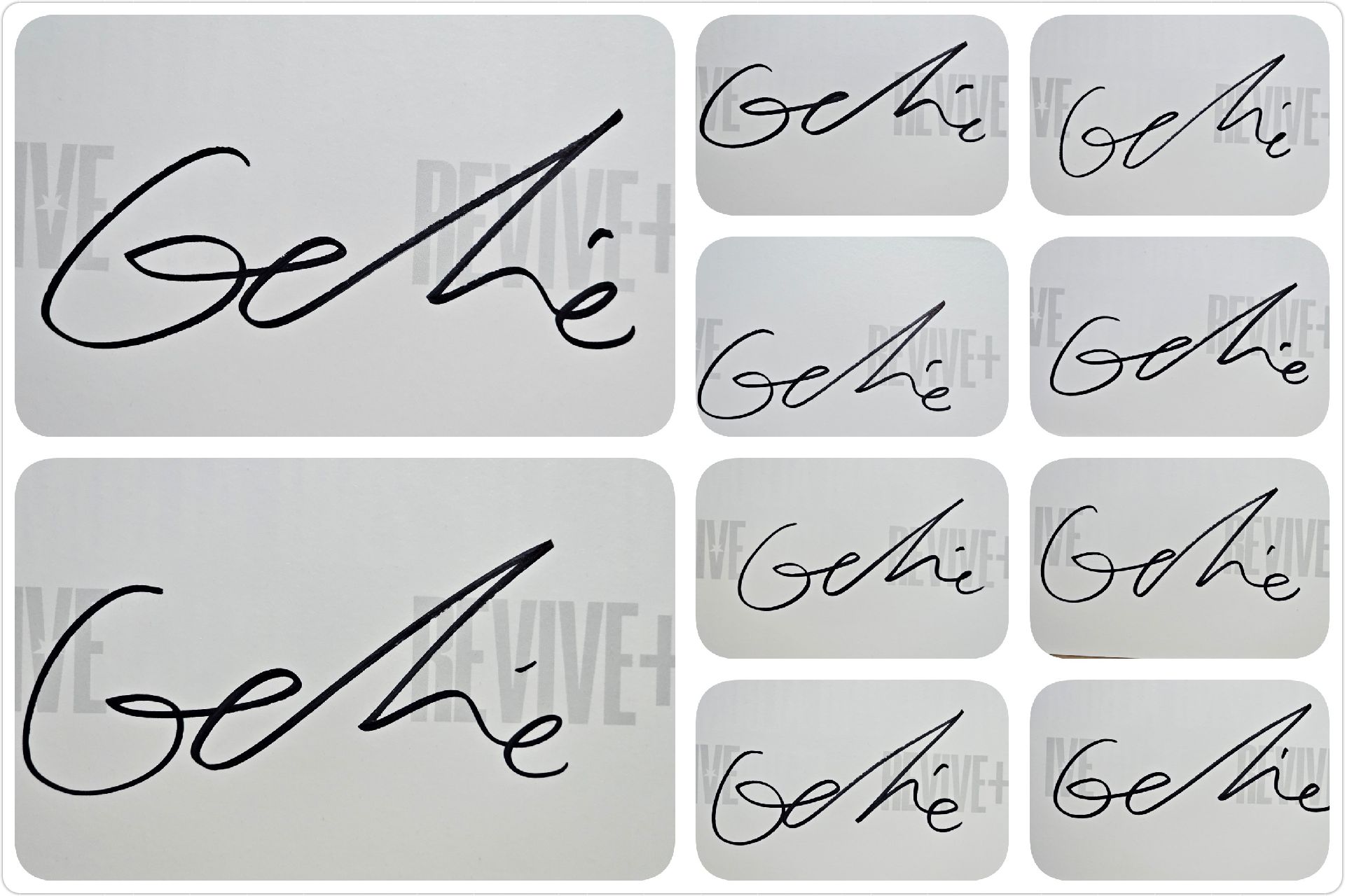 現貨【美國官網】IVE REVIVE+ 全專 (已拆封確認簽名卡) 簽名專輯 兪真 員瑛 Liz Rei 秋天