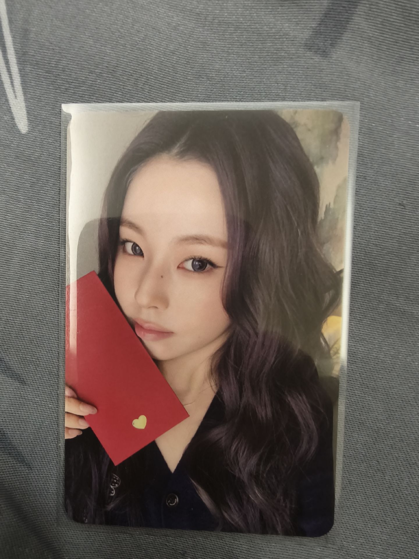 新年祝福紅包圭（中背）