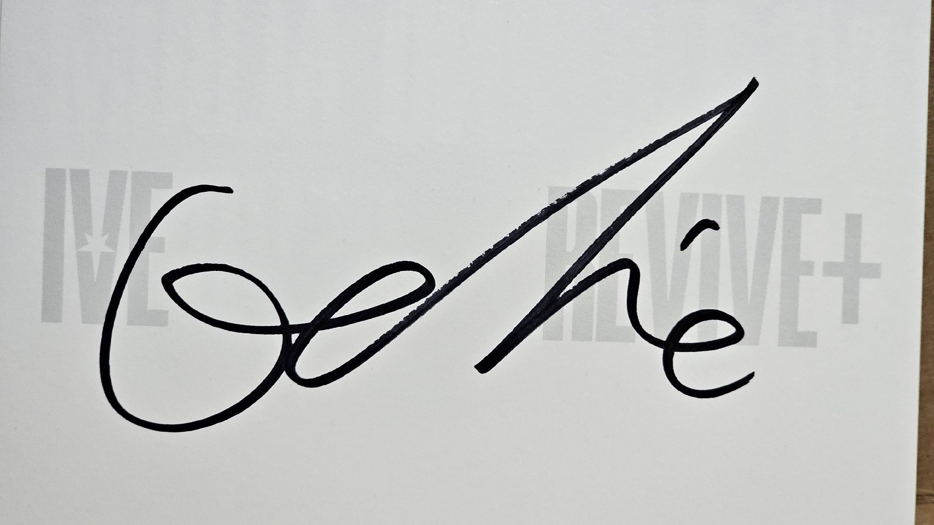 秋天 簽 隨機全專 