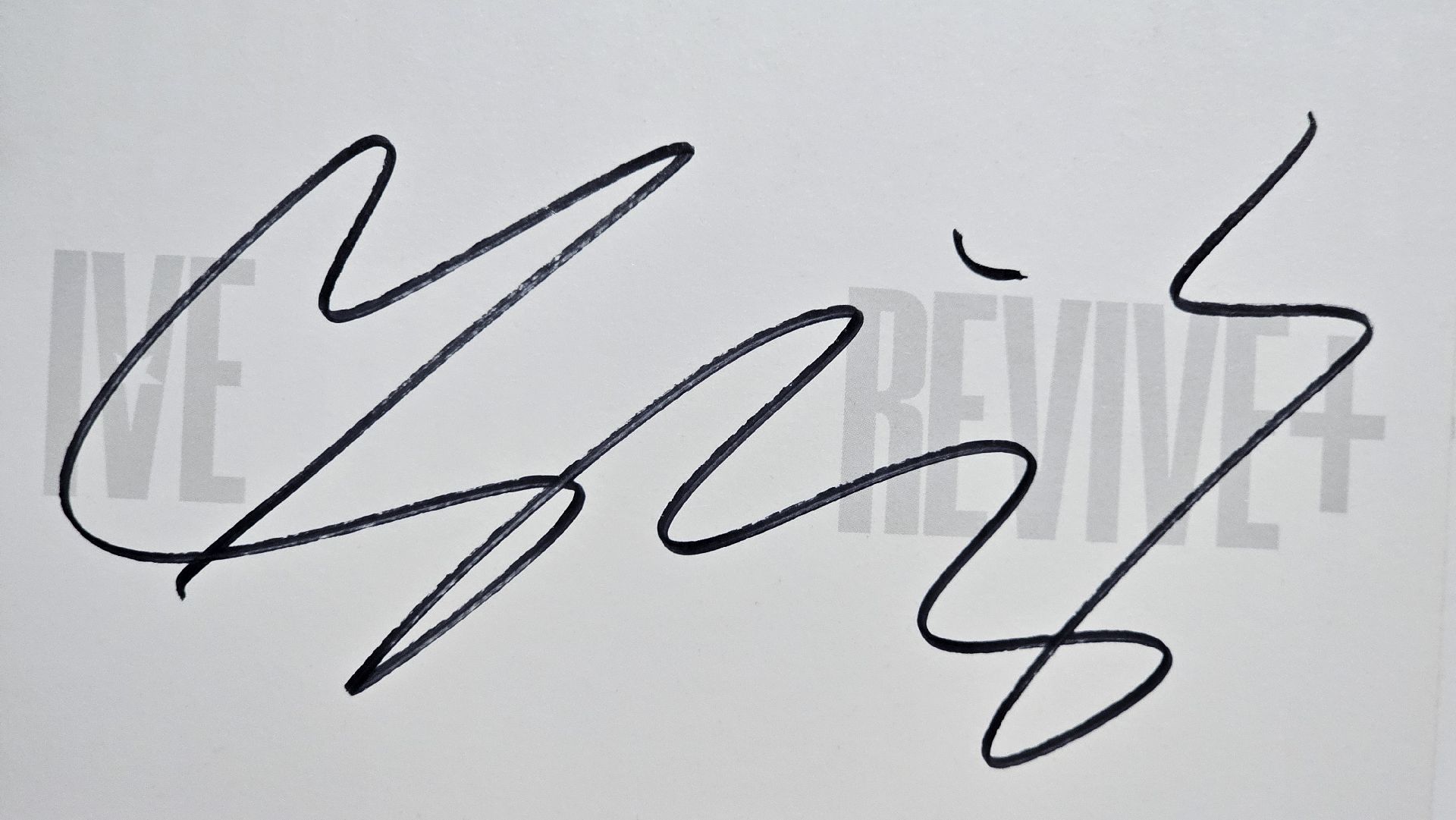 李瑞 簽 隨機全專 