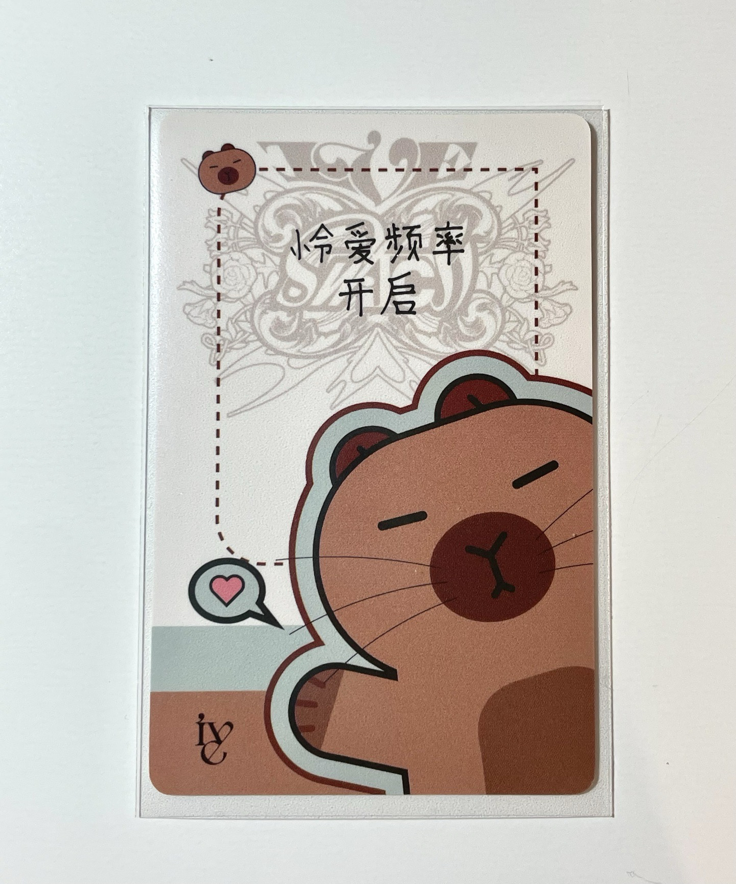 「怜愛頻率開啟」💕