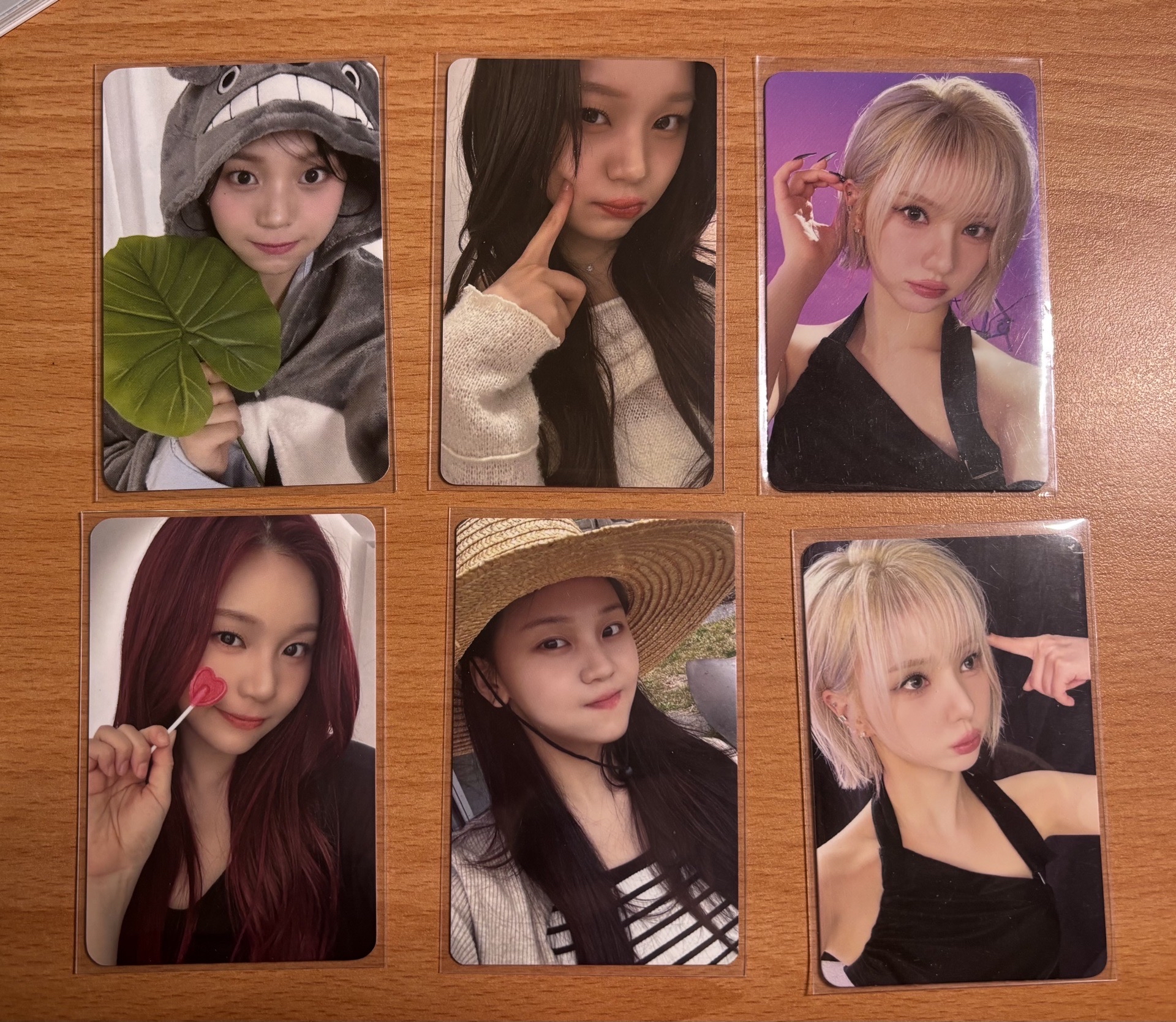 VIVIZ嚴智龍貓盤