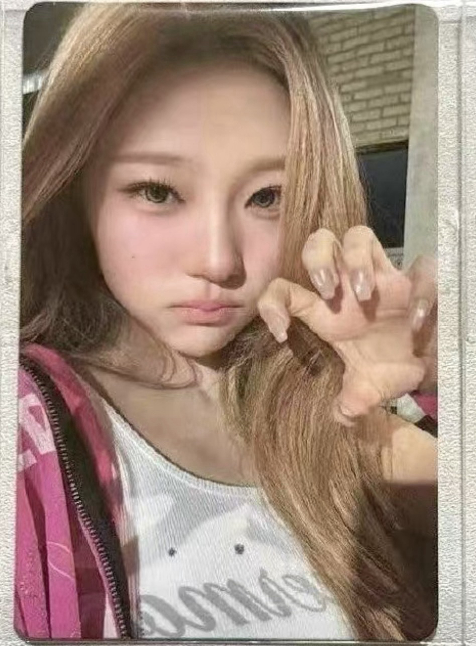 stella sm ld 直出 現貨