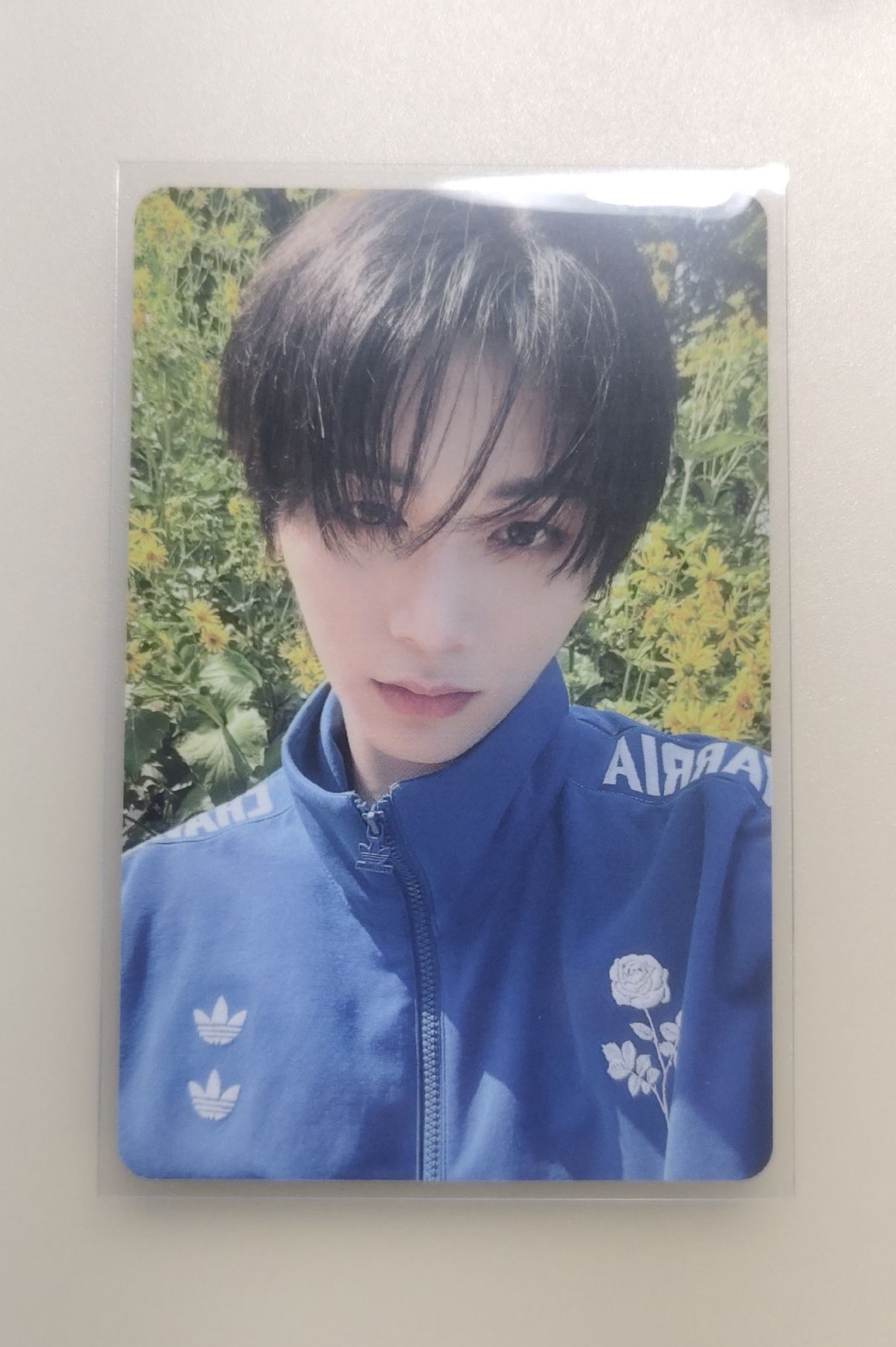 The Action 專輯卡 單封版