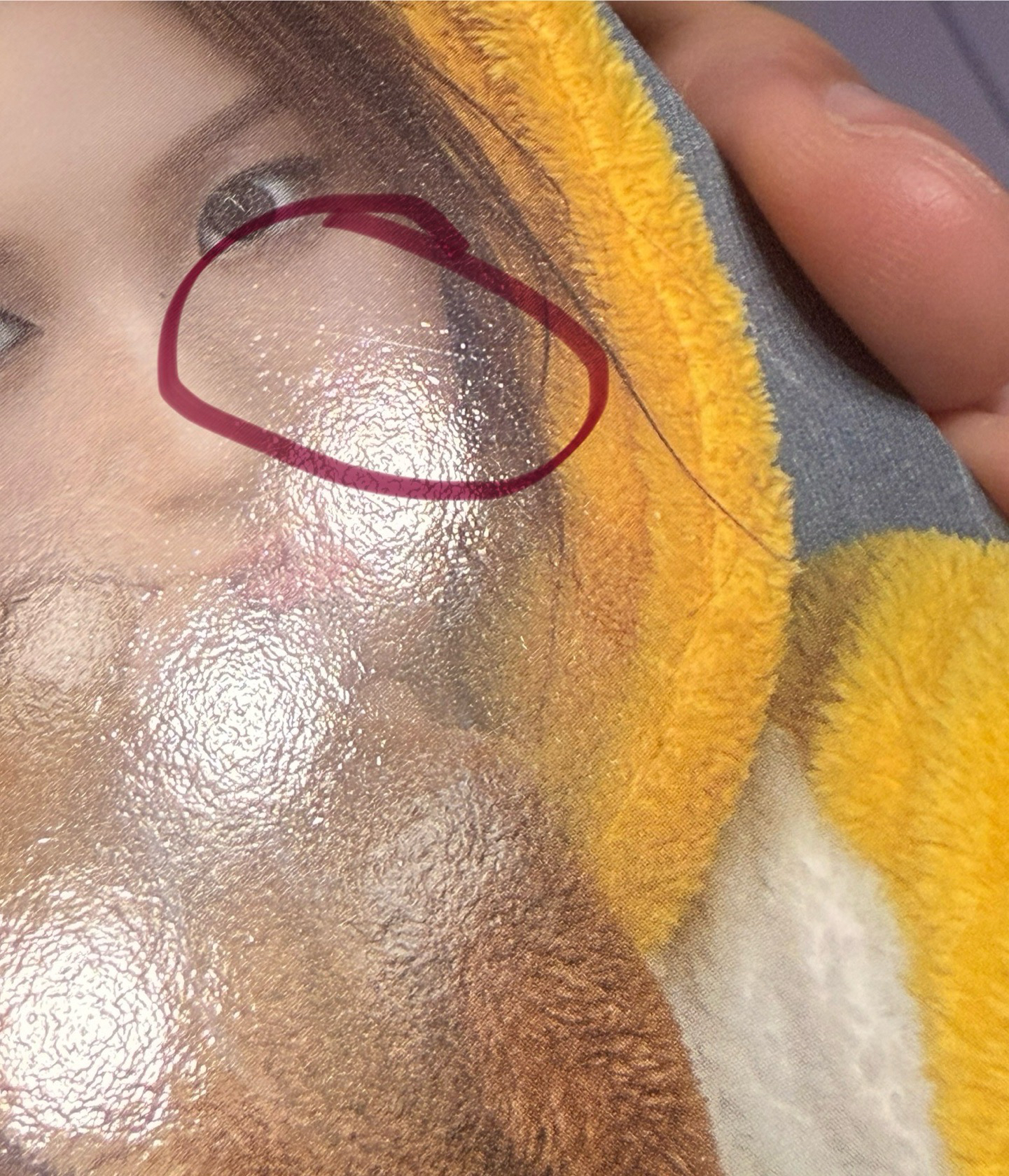 FORWARD ms 線上 2.0 簽售卡 蜜蜂