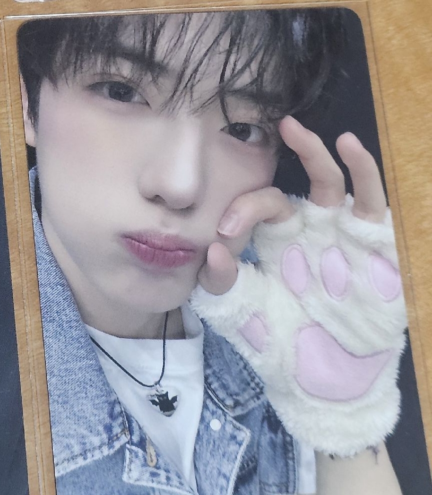 圖二下右（糖高）