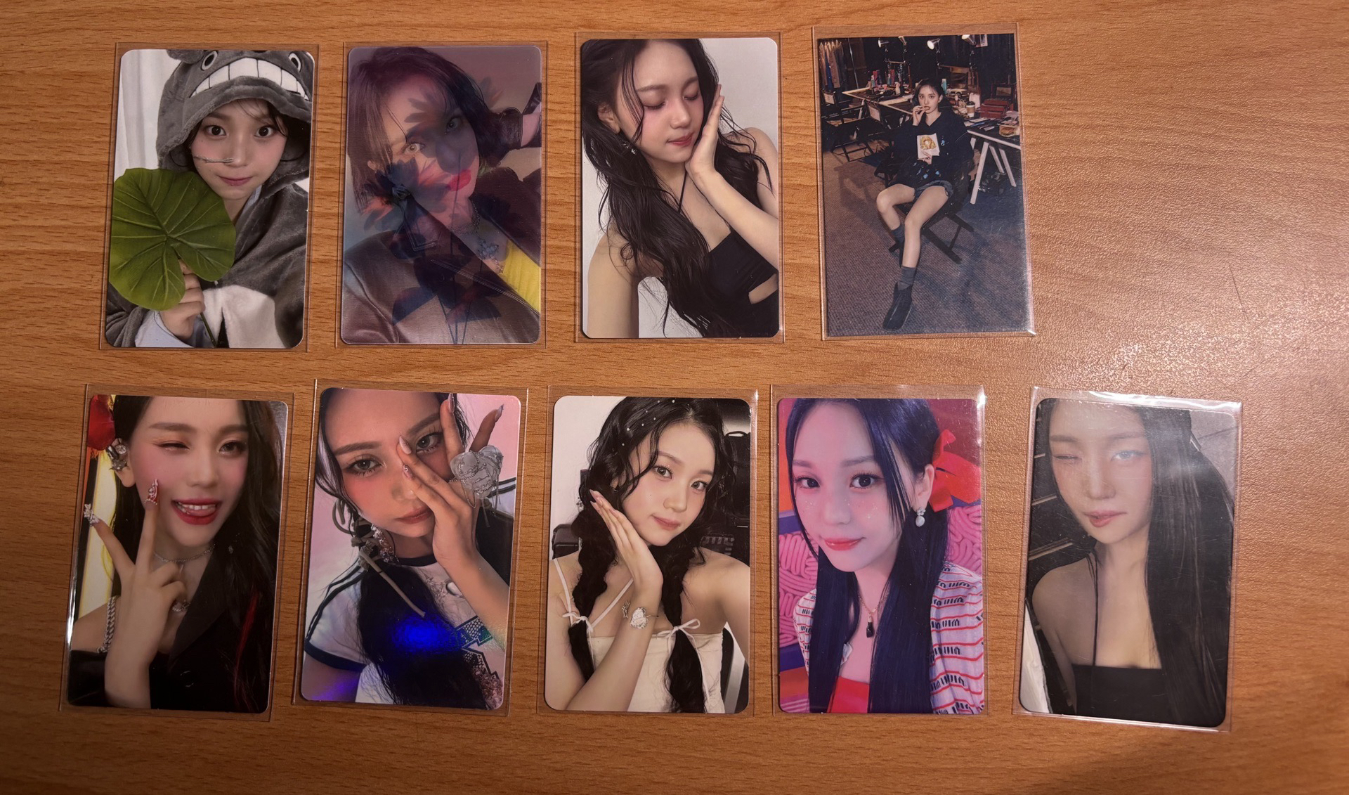 VIVIZ龍貓嚴智盤2