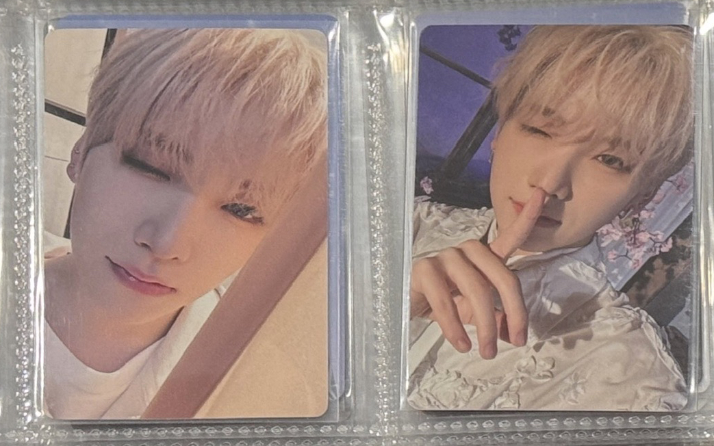 🐺 噓這是我們的秘密