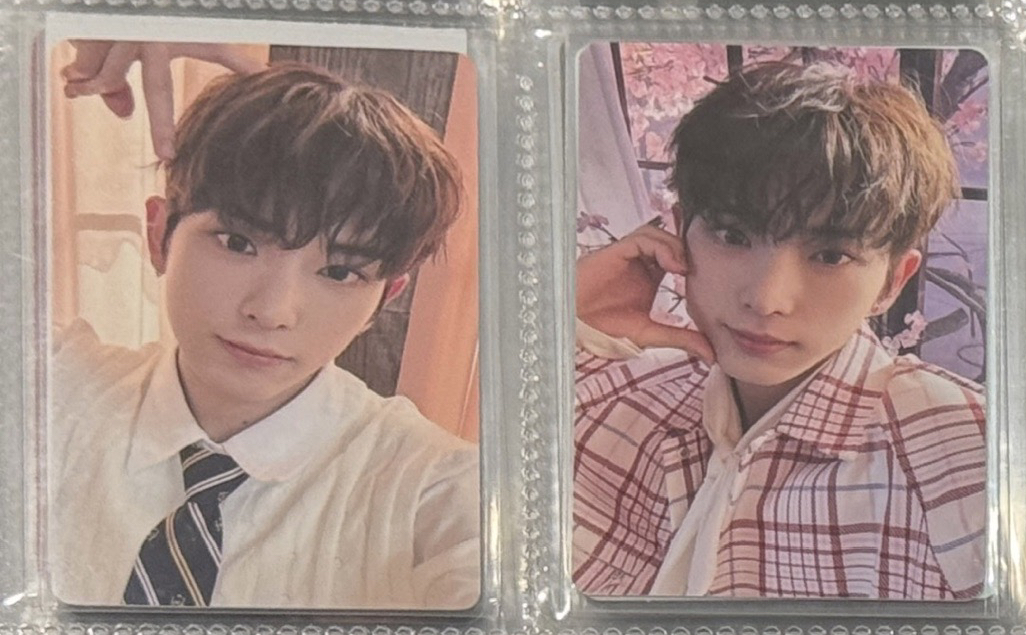 🐺跟我一起可可愛愛