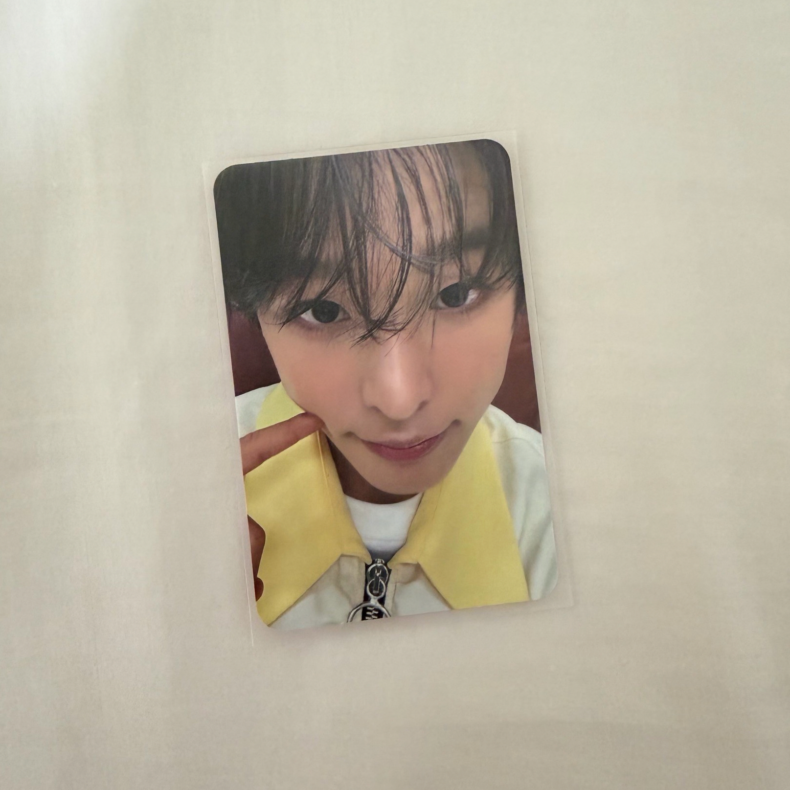 WISHFUL 初回生產限定盤 專卡陸