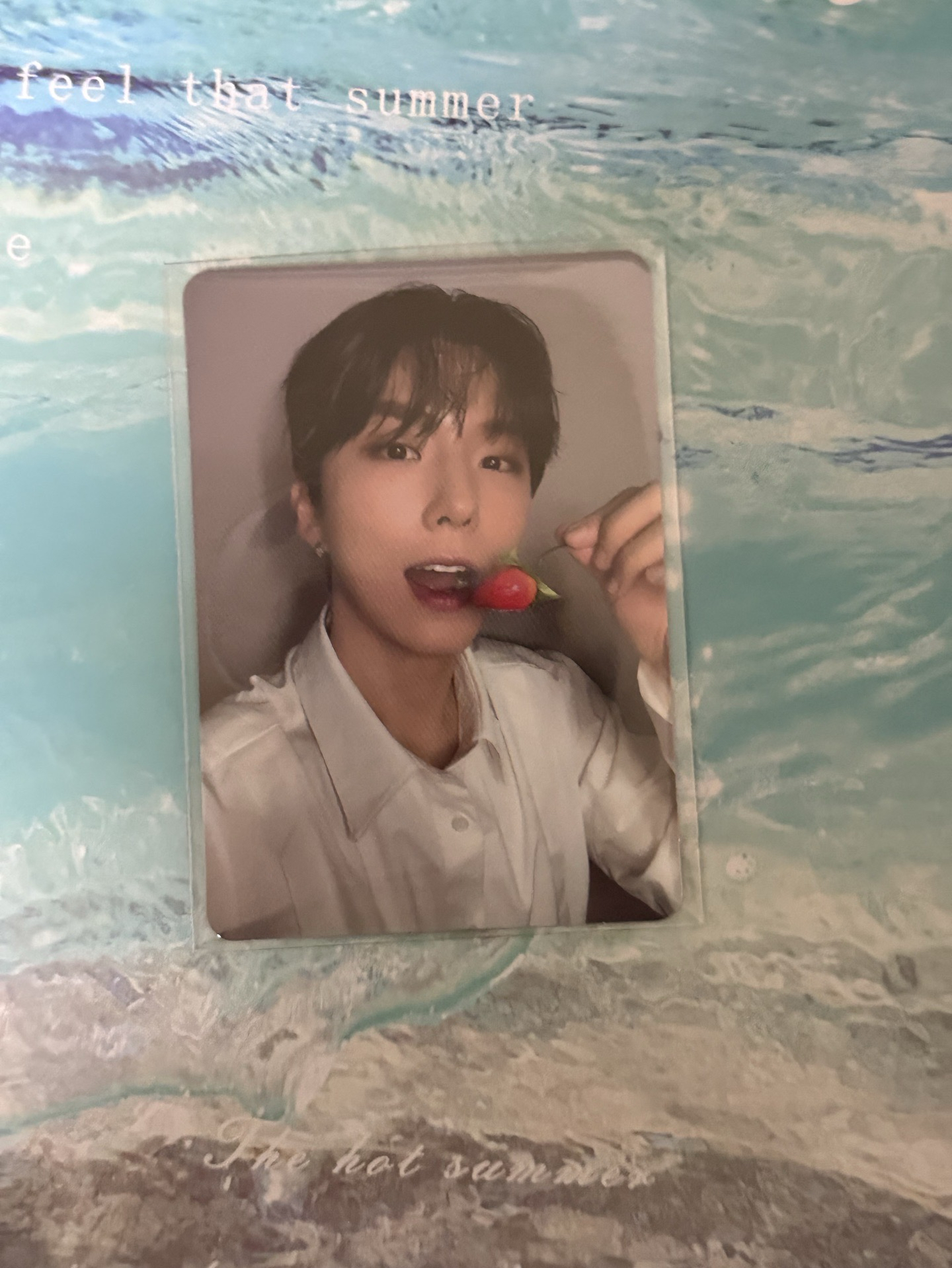 芒叉 首爾場mbb only