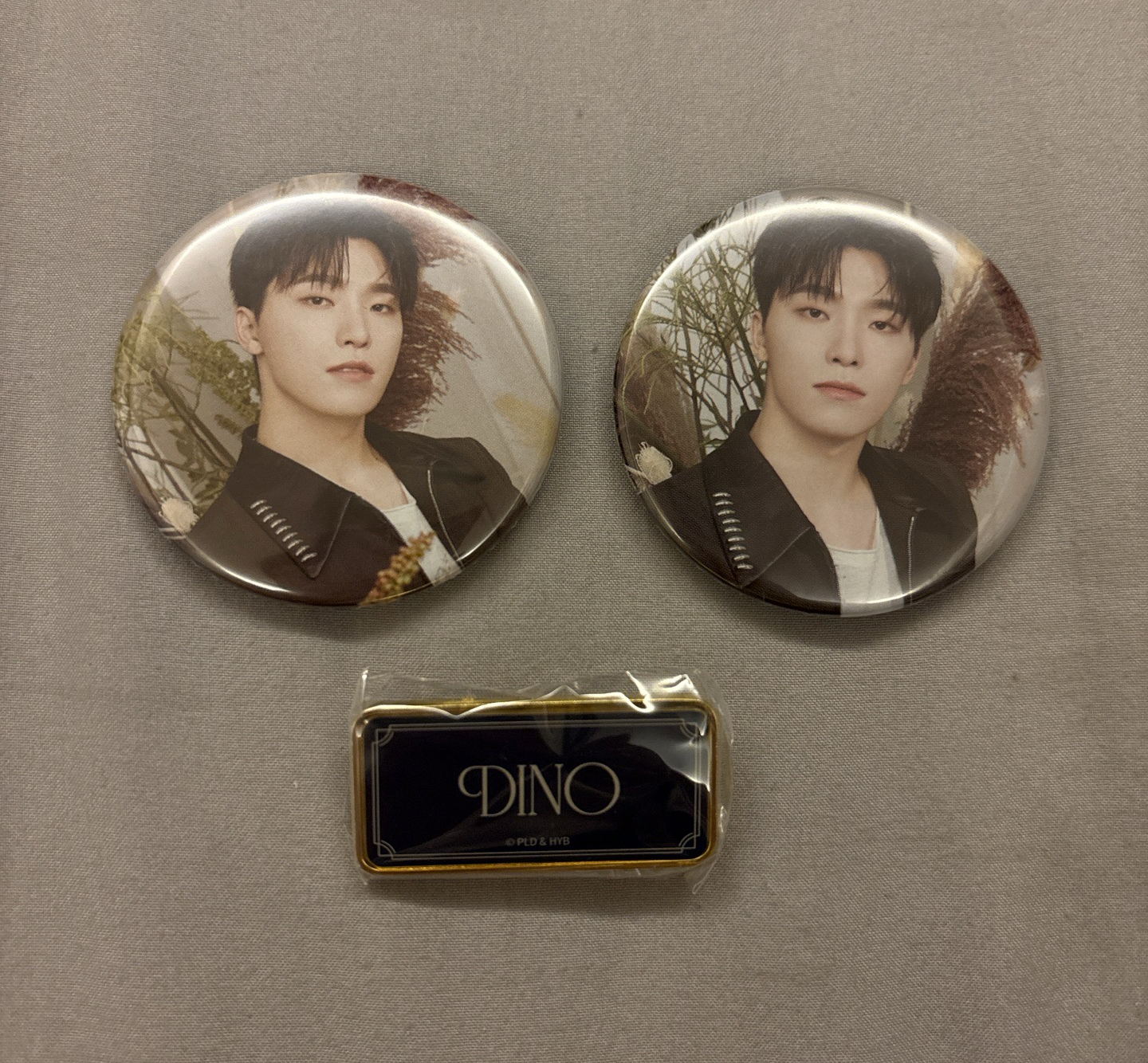 seventeen Dino 2024 cafe/博物館 別針